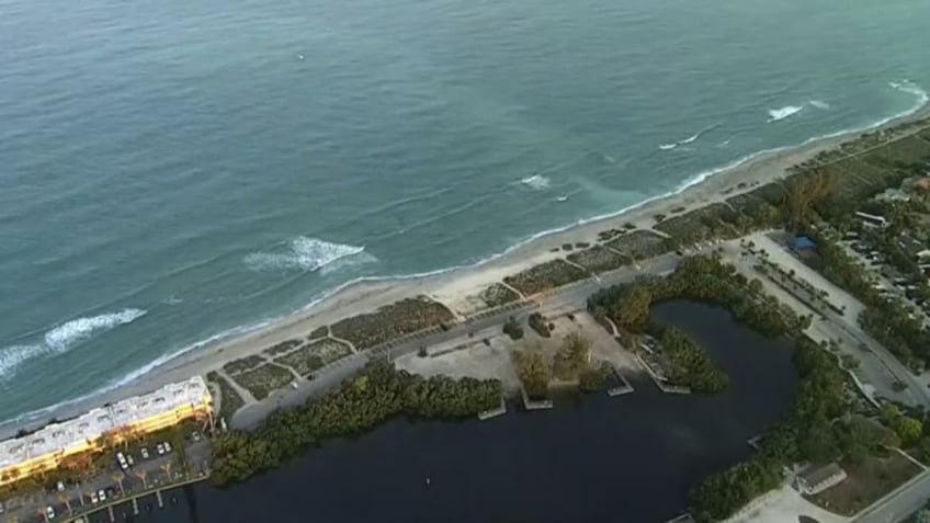 aerial view of shoreline