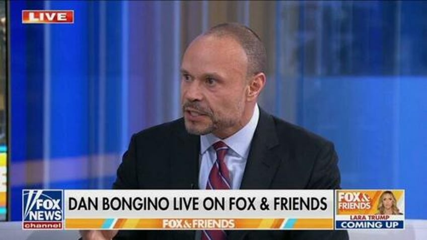 bongino claims new video evidence will prove epstein suicide and bags of improperly stored comey era evidence found
