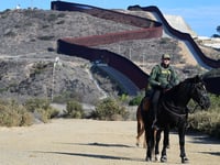 Border Patrol union chief blasts anti-masking proposal: 'Tone deaf politics'