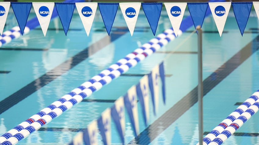 boston college suspends swimming diving programs for hazing incidents