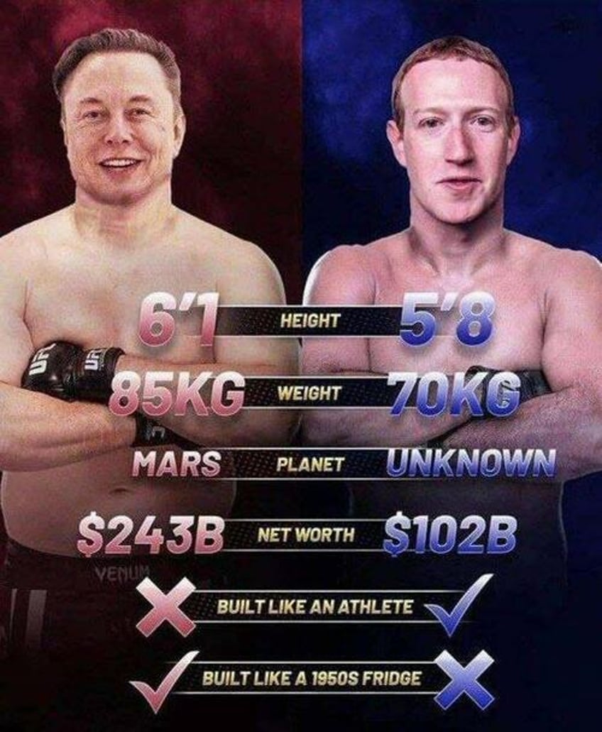 brain battle elon musk open to cage match debate with mark zuckerberg