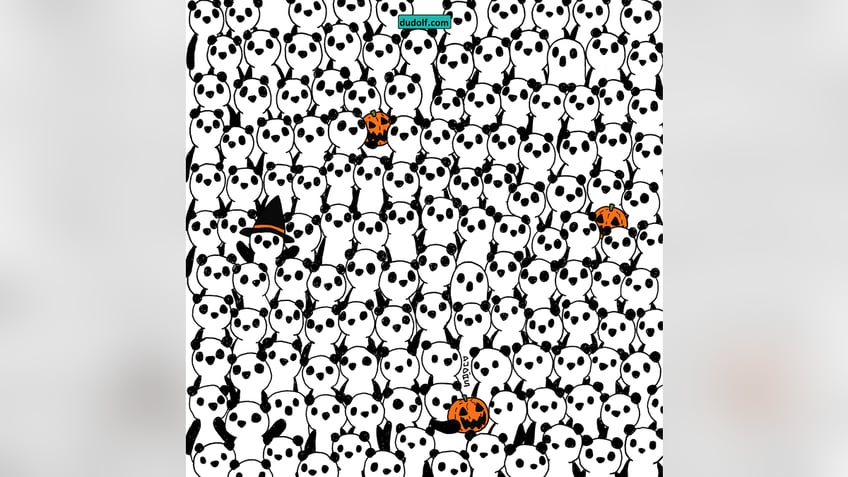 brain teaser can you find the 3 ghosts hidden among the pandas