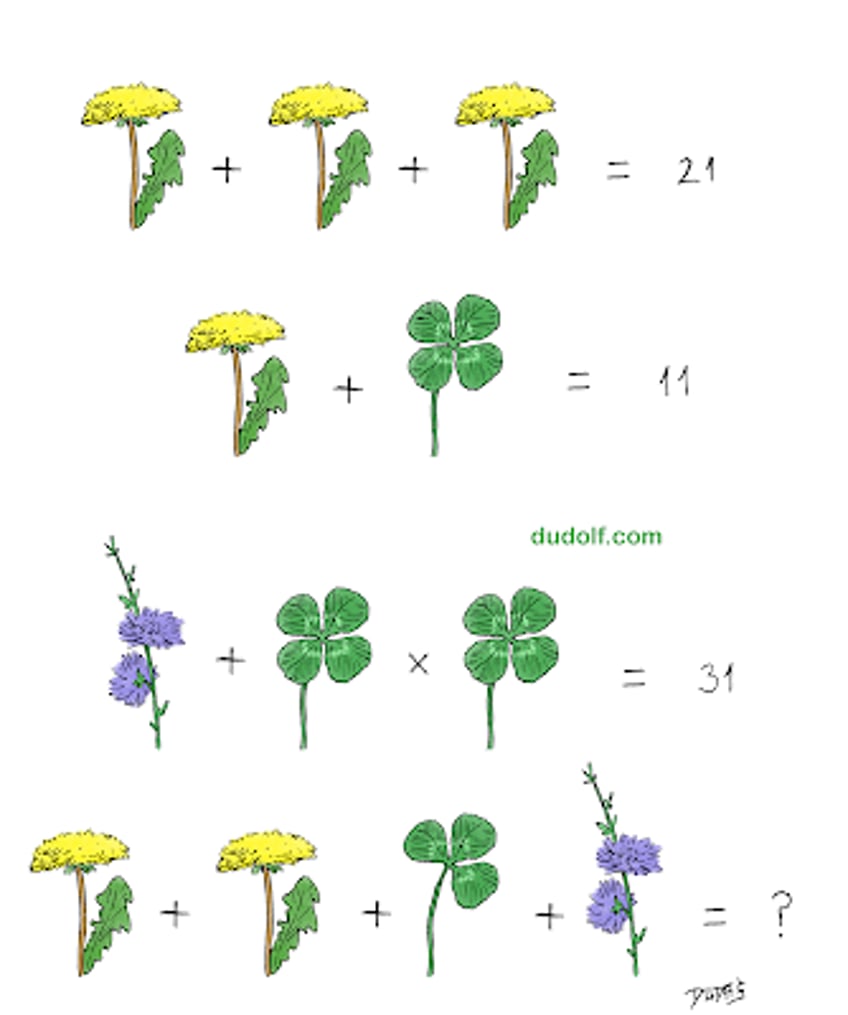 brain teaser this tricky nature inspired math puzzle might stump you if youre not careful