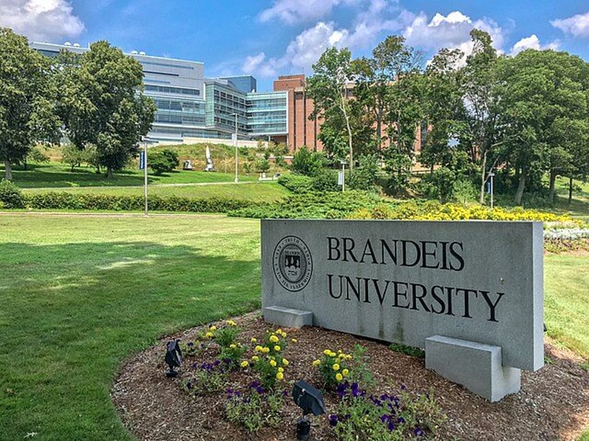 brandeis university student council fails to condemn hamas terrorism