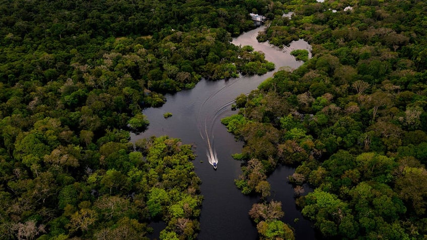 Amazon rainforest