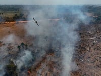 Brazil fires drive acceleration in Amazon deforestation: report