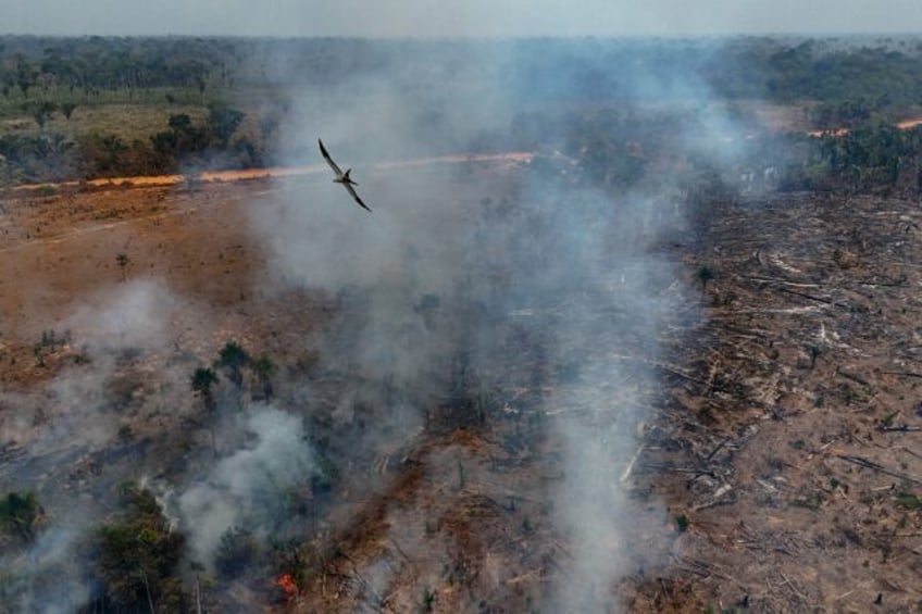 Illegal burning of the Amazon rainforest near Humaita, in the northern Brazilian state of