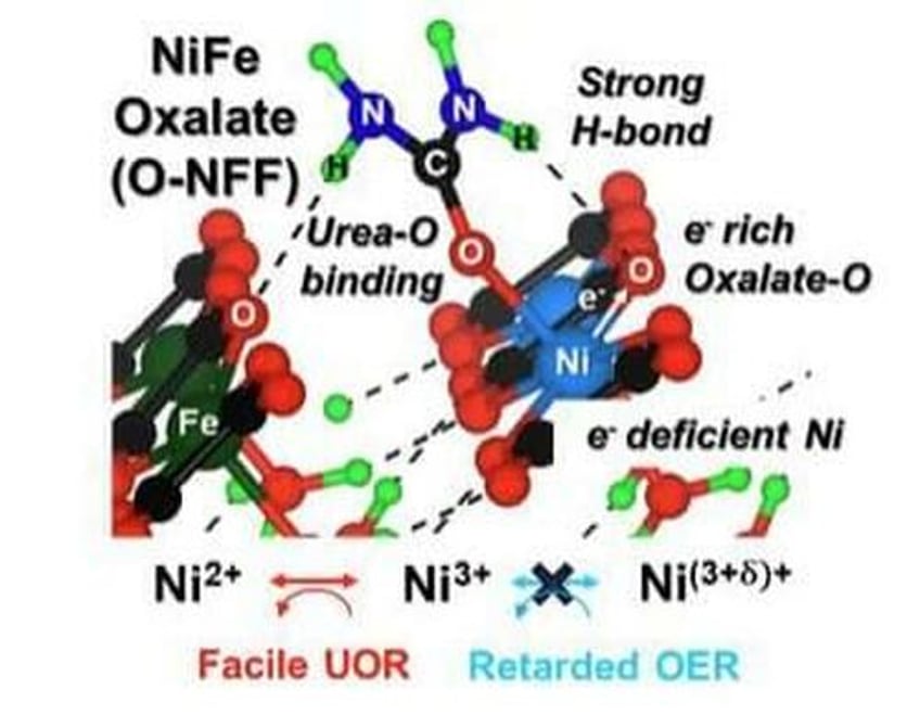 breakthrough catalyst turns sewage into clean energy