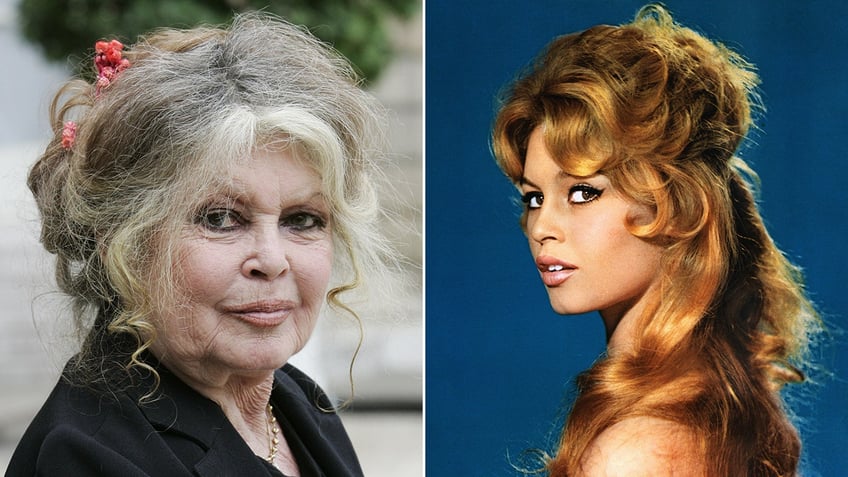 brigitte bardot 88 recovering after first responders treated 60s star for breathing issues