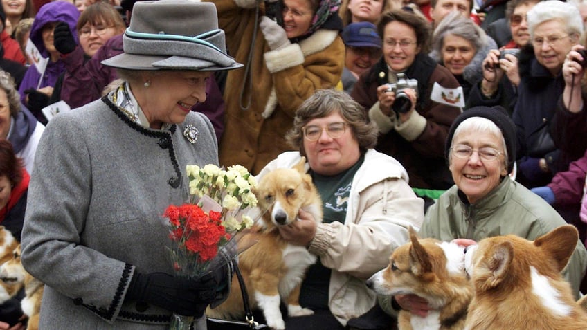 british corgis parade outside buckingham palace to honor queen elizabeth iis death one year later