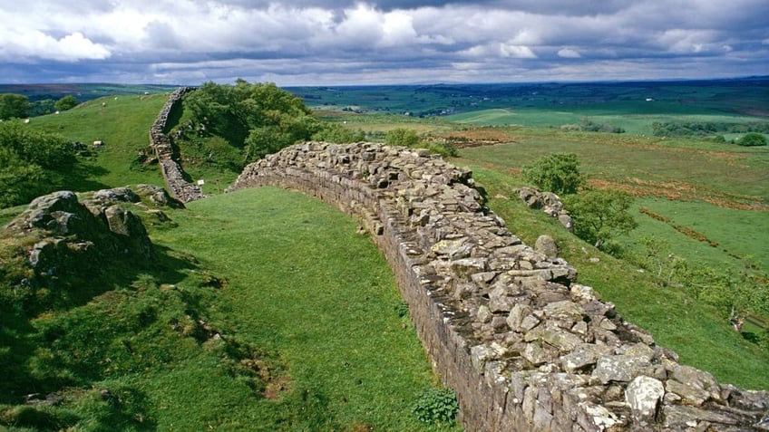 british police arrest second suspect accused of cutting down 300 year old tree near hadrians wall