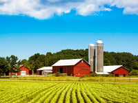 BROOKE ROLLINS: Farm security is national security