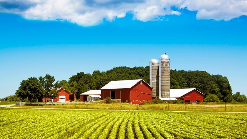 The new US multi-agency plan treats agriculture as an essential part of national security. (iStock)