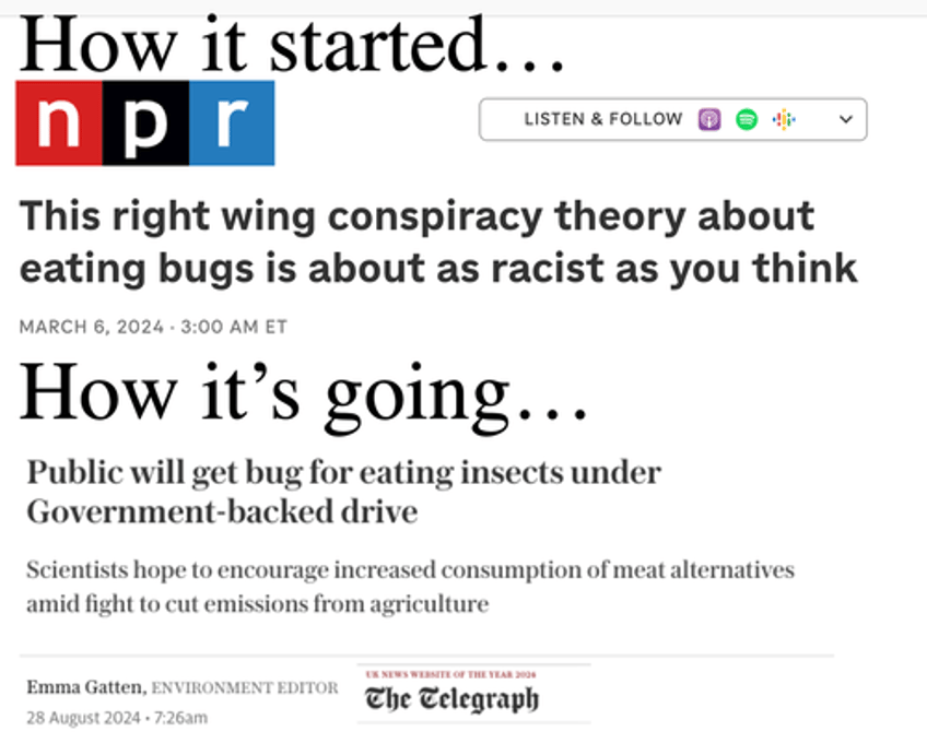 bug diets once labeled conspiracy theory by msm now becomes fact after uk govt backs sustainable food