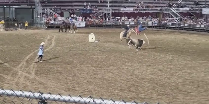 bull escapes utah fairgrounds charges lieutenant governors mom and brother in parking lot