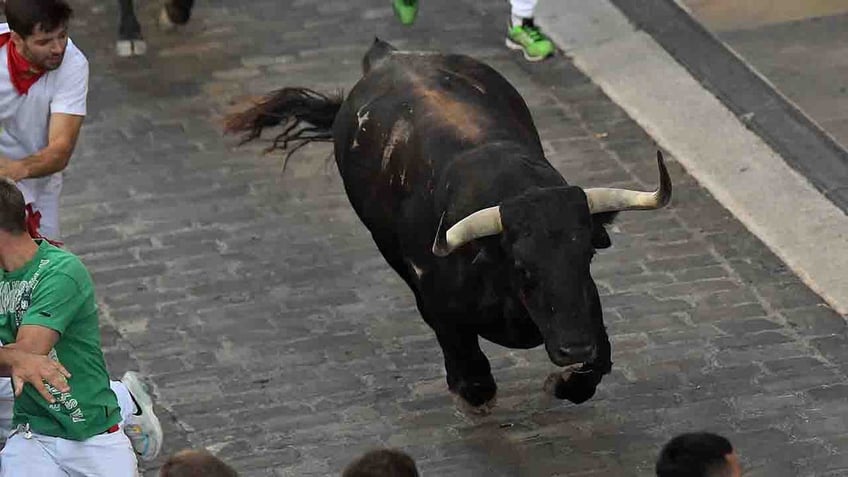 bull gores kills man at festival in spain