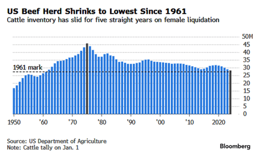 bullish cattle bets soar as us herd crisis sparks breakout to record high price