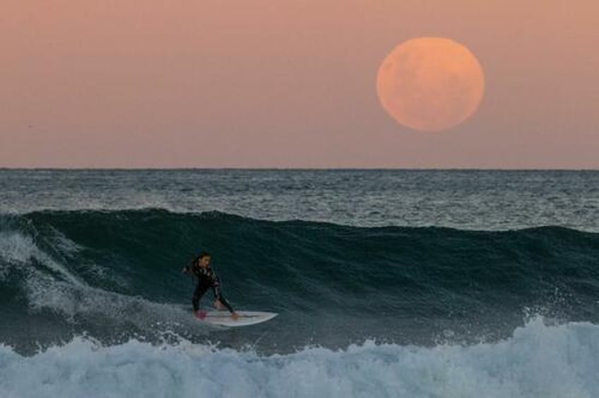 bumps appear in surfings gender equality wave