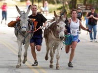 Burro racing wins over runners in backcountry ode to mining history