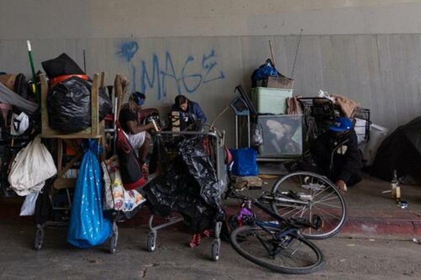 california auditor finds homeless council cant account for money spent