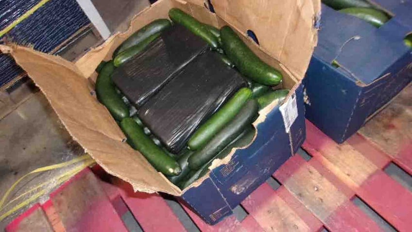 california border officers arrest mexican man hiding 400 pounds of cocaine in cucumber shipment