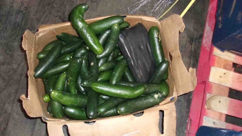 california border officers arrest mexican man hiding 400 pounds of cocaine in cucumber shipment