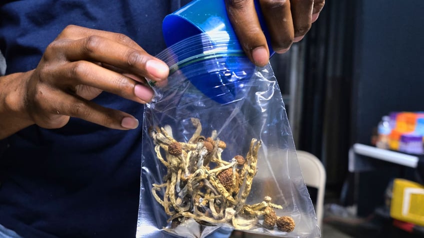 A vendor bags psilocybin mushrooms