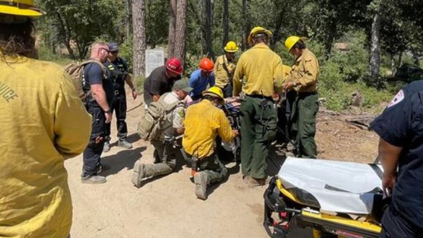 Search and rescue teams at the scene