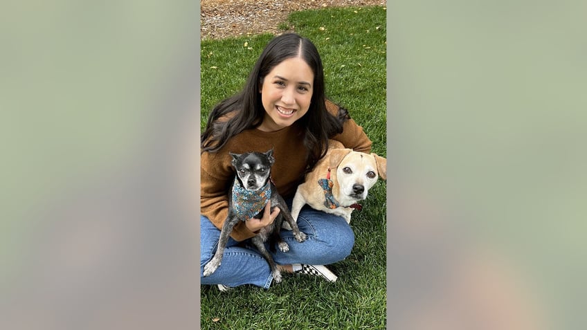 california dogs are up for adoption after they were surrendered with costume jewelry glued to their heads