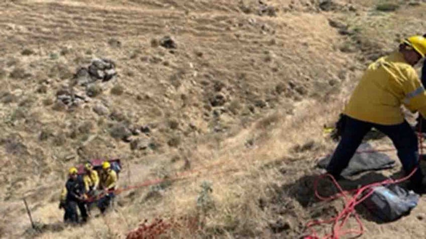 california driver survives 5 days trapped in pickup truck after plunging down 100 foot ravine