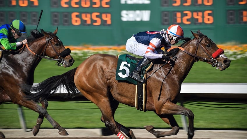 california exercise horse rider dies in training incident at los alamitos race