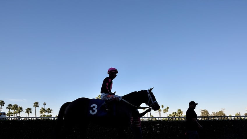 california exercise horse rider dies in training incident at los alamitos race