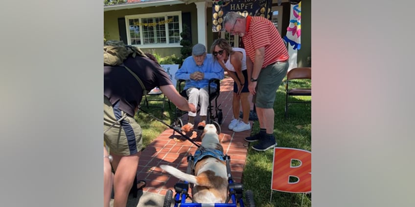 california man celebrates 100th birthday with dog parade featuring 200 pups of all shapes and sizes