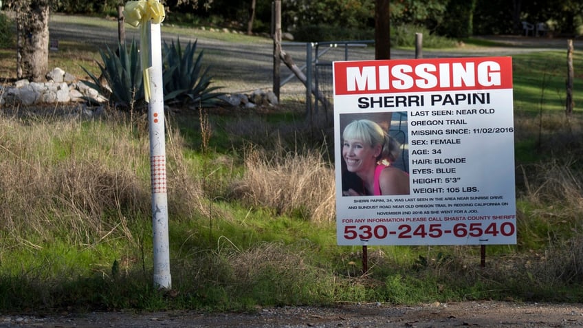 Sherri Papini missing person poster