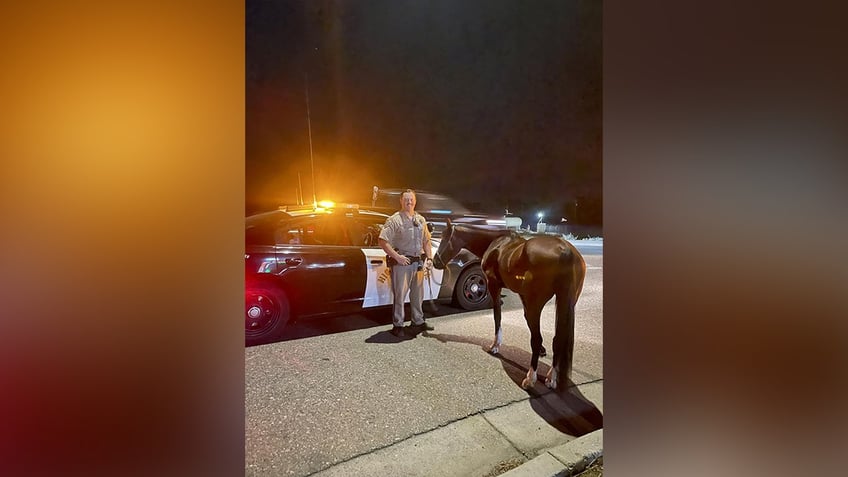 california police arrest alleged drunken horseman for dui impaired riding