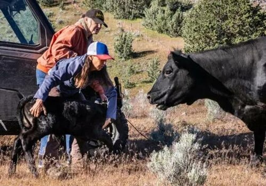 california ranchers urge state to end water restrictions as floodwaters swamp northern county