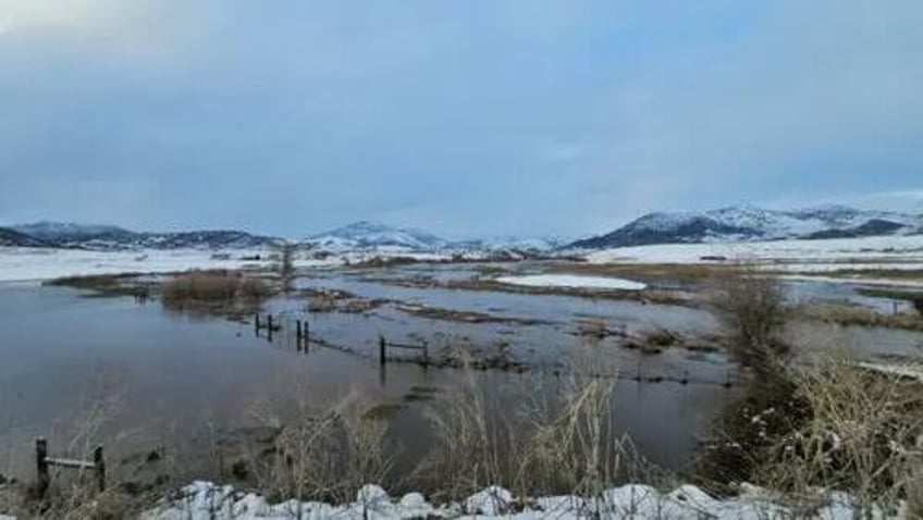 california ranchers urge state to end water restrictions as floodwaters swamp northern county