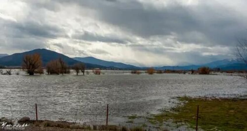 california ranchers urge state to end water restrictions as floodwaters swamp northern county