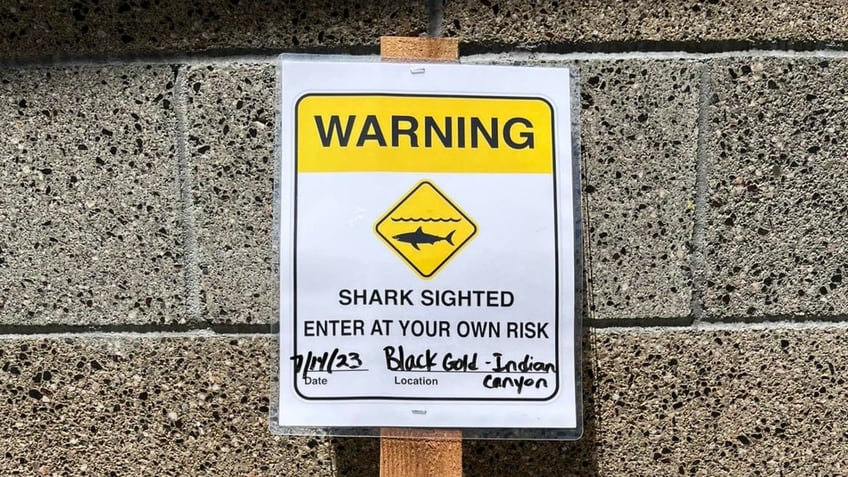 A shark advisory