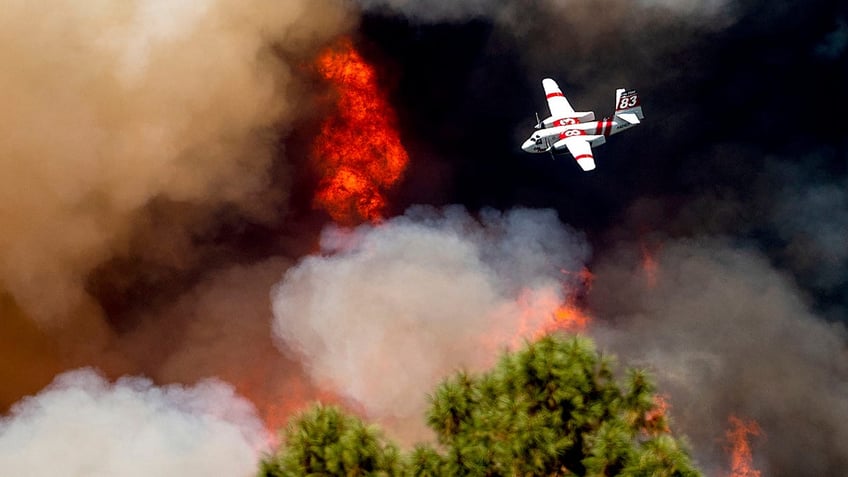 california scientist says he left out the full truth to get climate change wildfire study published