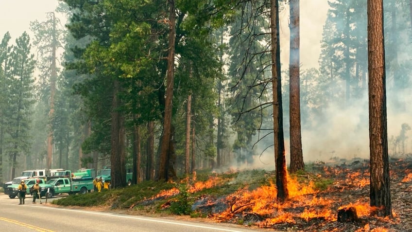 california scientist says he left out the full truth to get climate change wildfire study published