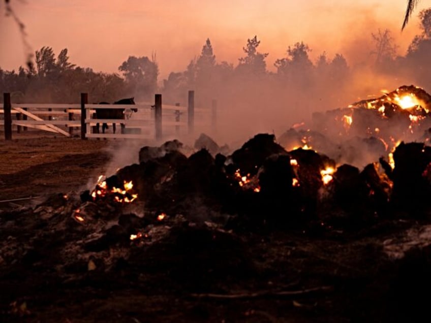 A horse paces in its enclosure surrounded by smoke and burning patches after the Mountain