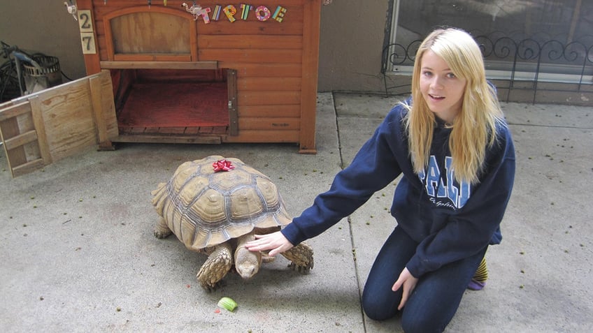 california woman goes viral for 22 year friendship with tortoise she received for christmas as a child