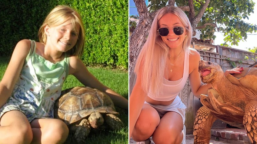 california woman goes viral for 22 year friendship with tortoise she received for christmas as a child