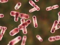Cambridge Researchers Find Gut Bacteria Could Help Remove 'Forever Chemicals' From Body 