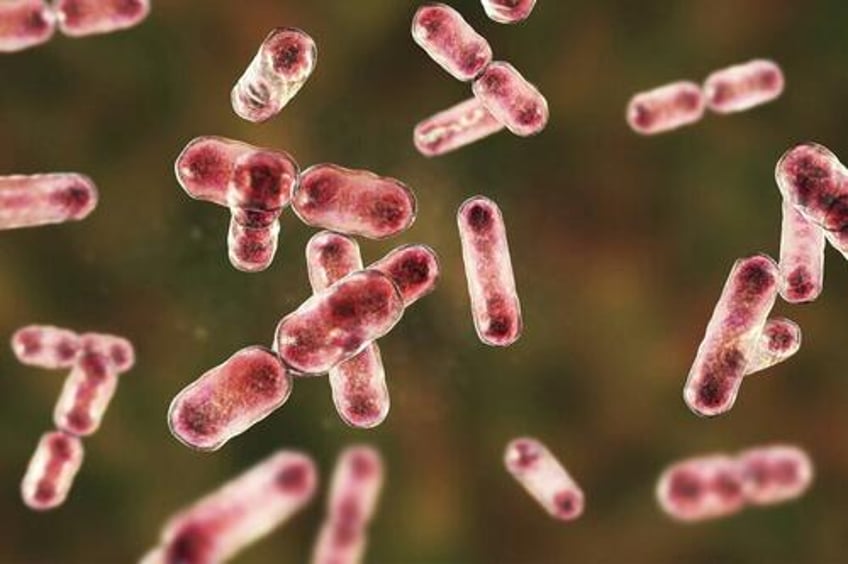 cambridge researchers find gut bacteria could help remove forever chemicals from body