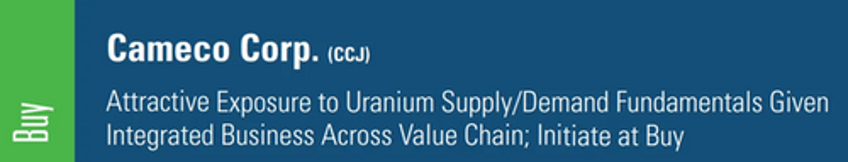 cameco uranium goldman report goes nuclear