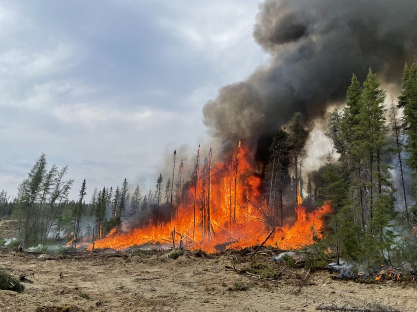 canadian family flees wildfires in melting car