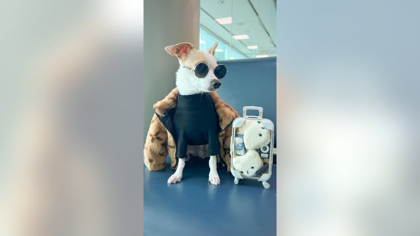 Bao at the airport