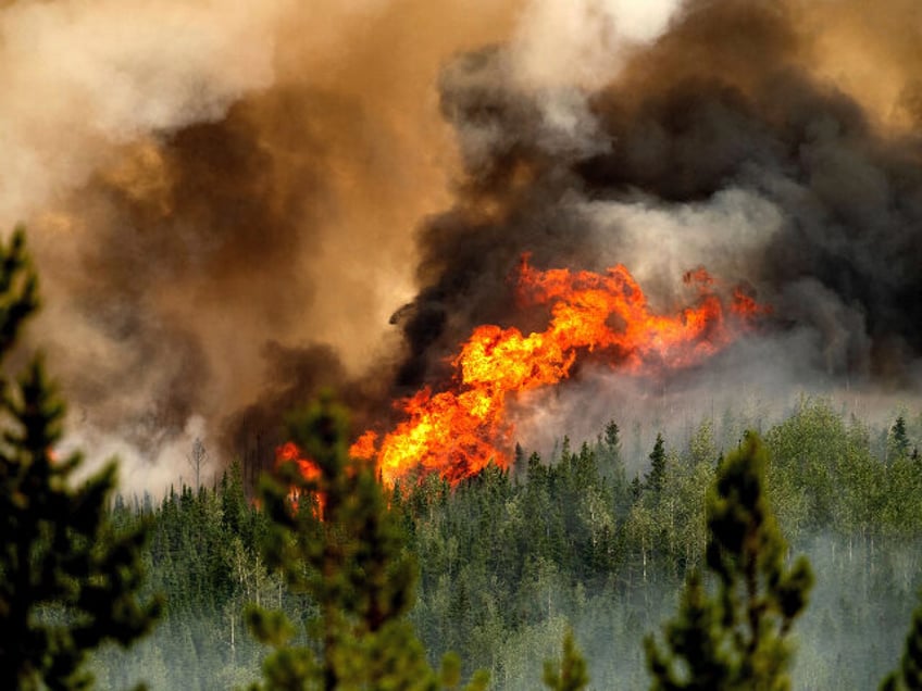 canadians cry foul over high airline ticket prices to escape wildfire